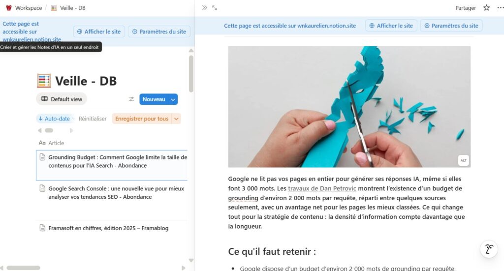 Exemple Notion Veille 2