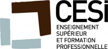 Mastère Spécialisé® Manager de l’Amélioration Continue option Excellence Opérationnelle | CESi