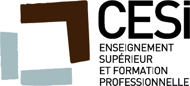 Gestionnaire en Maintenance et Support Informatique | CESi