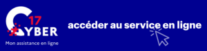 Accéder au diagnostic et service en ligne 17 Cyber