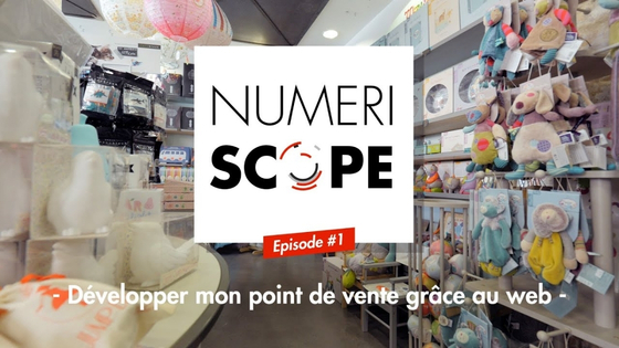 Numeriscope 1 Comment La Maison d'Eliott a développé sa visibilité grâce au numérique