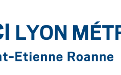 CCI-Lyon-Metropole-logQ