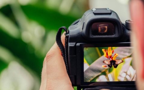 Comment prendre de belles photos pour votre site internet