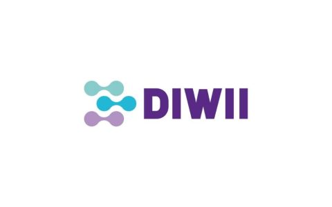 logo_diwi (2)